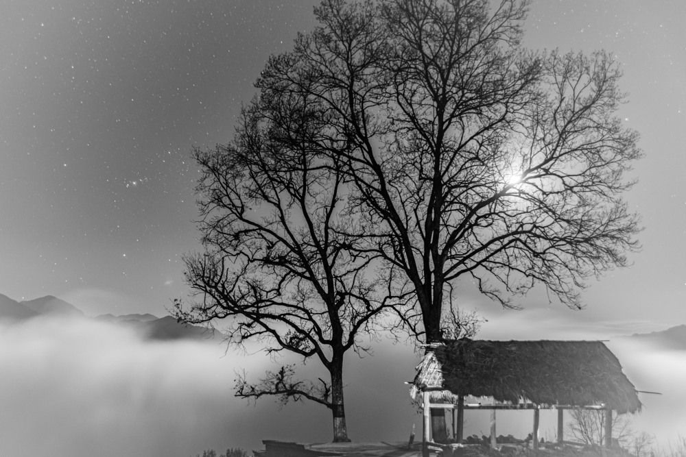 Photograph by Nguyễn