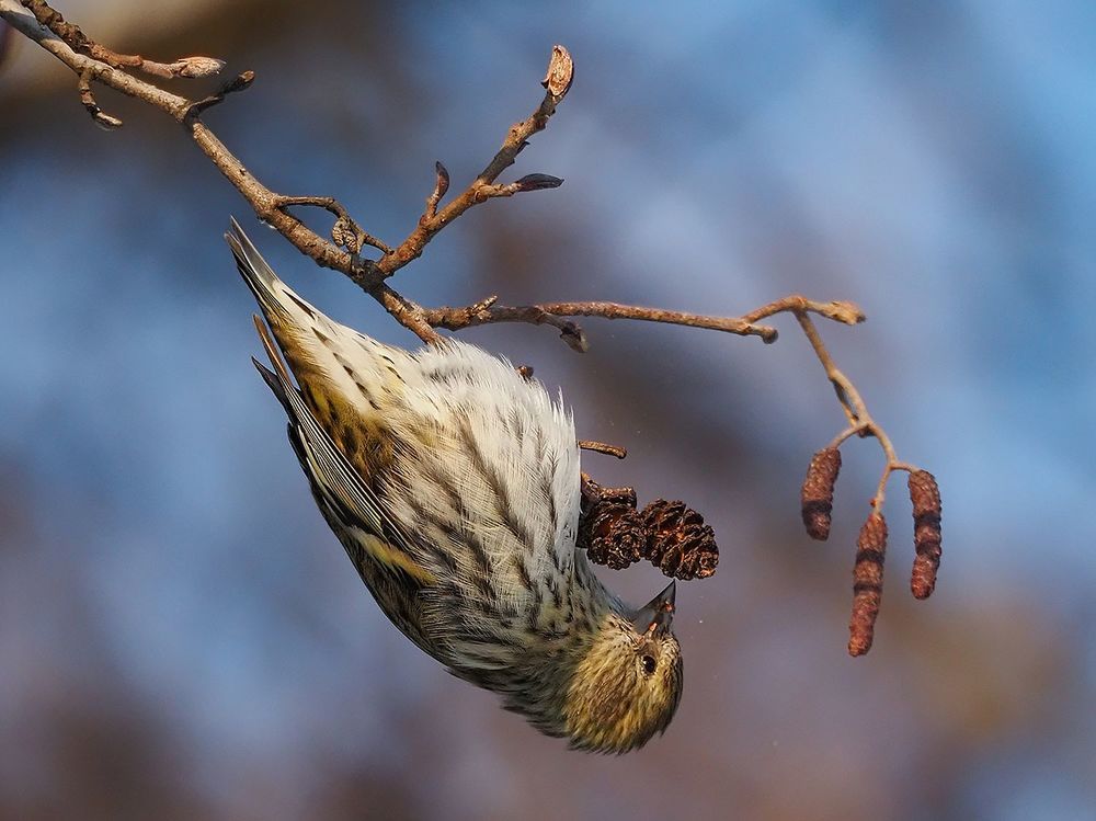 Photograph by Сергей Духанин