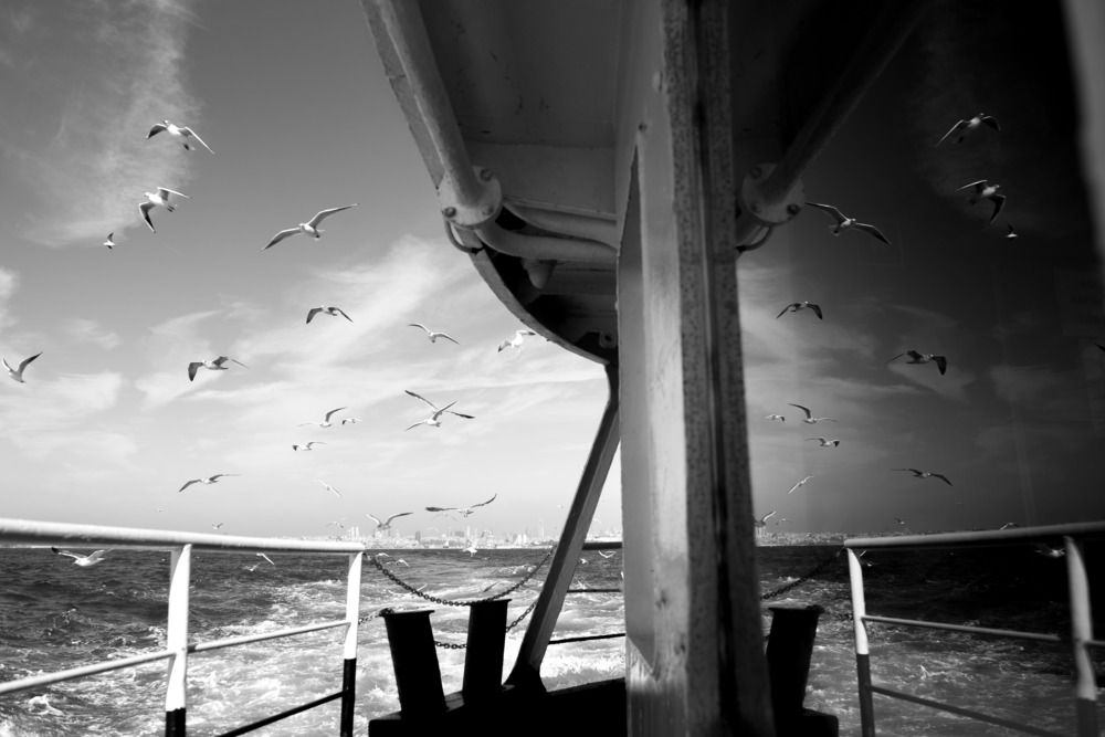 Photograph by Даниил Золотарев