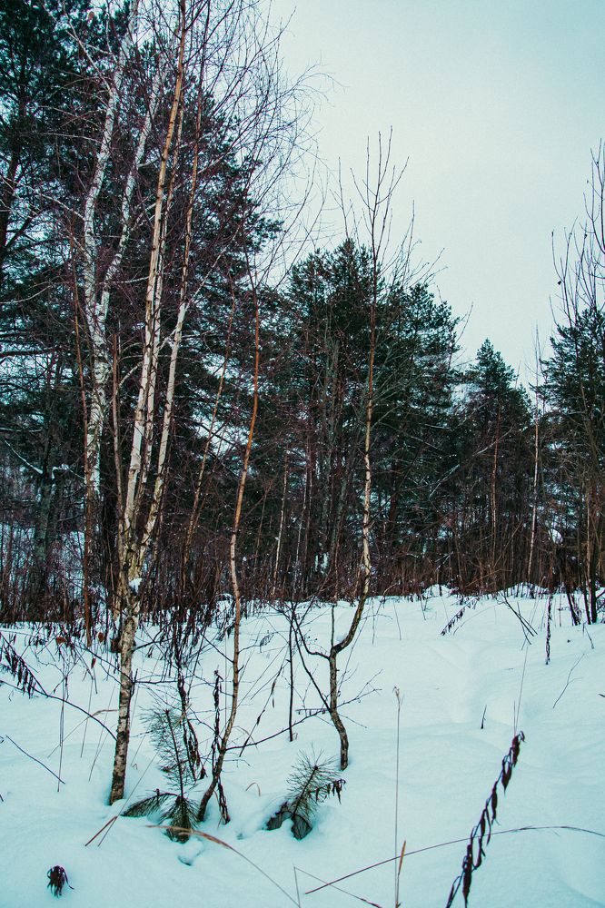 Photograph by Арина Сучкова