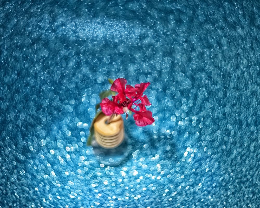 Photograph by Людмила Ефремова