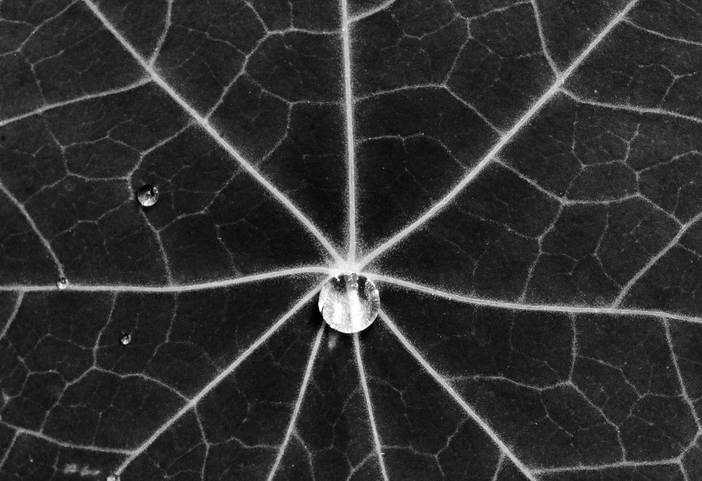 Фотография автора Андрей Врубель