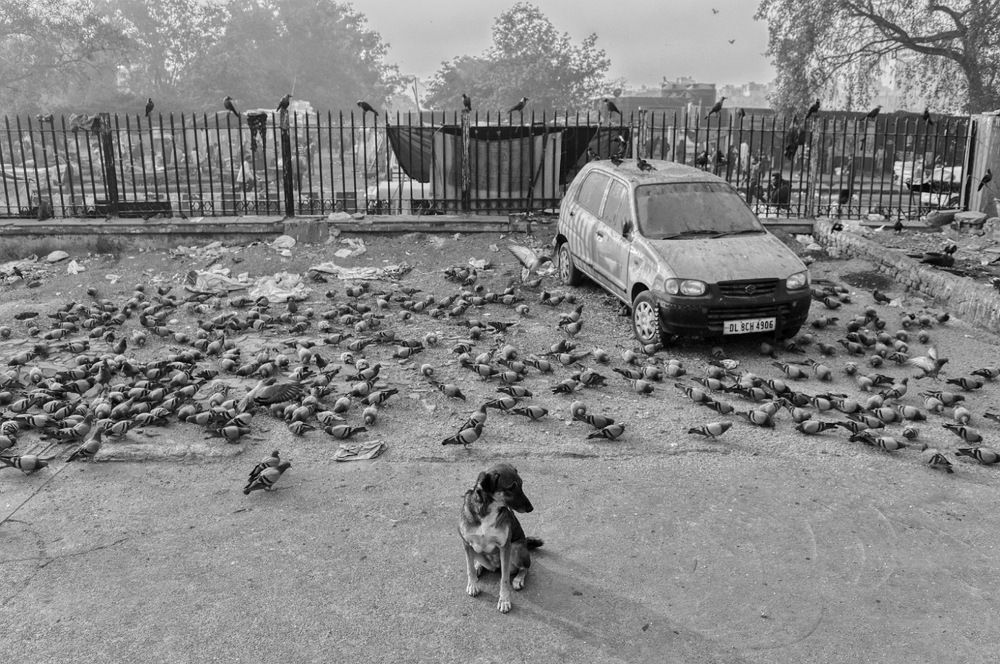 Photograph by Ankit Kr