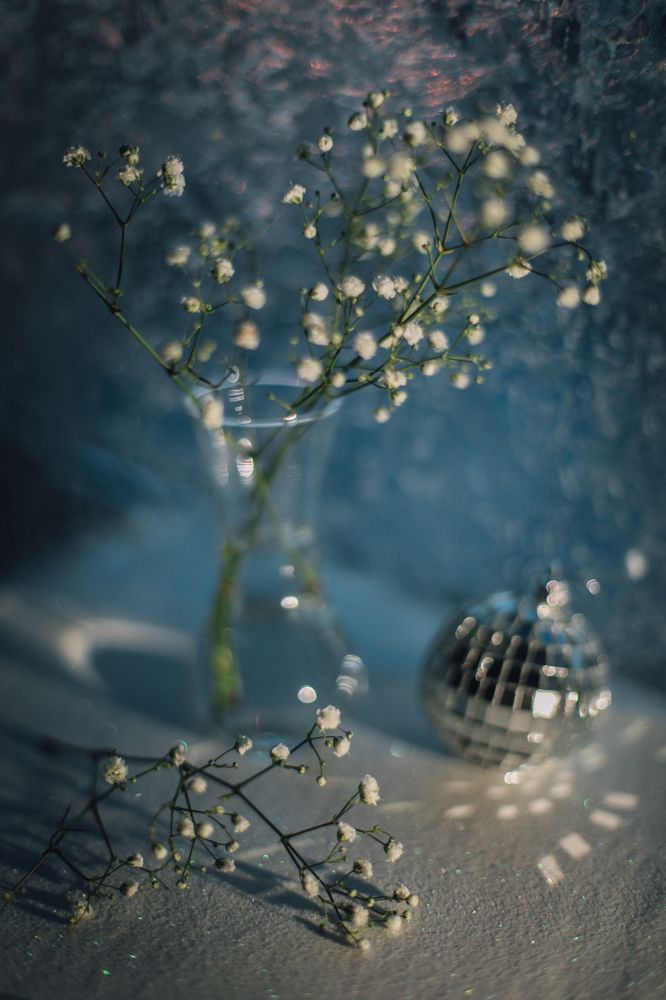 Photograph by Елизавета Лутцева