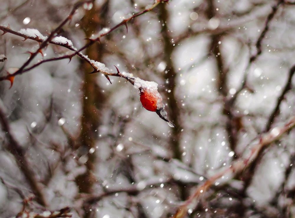 Photograph by Наталья Исиченко