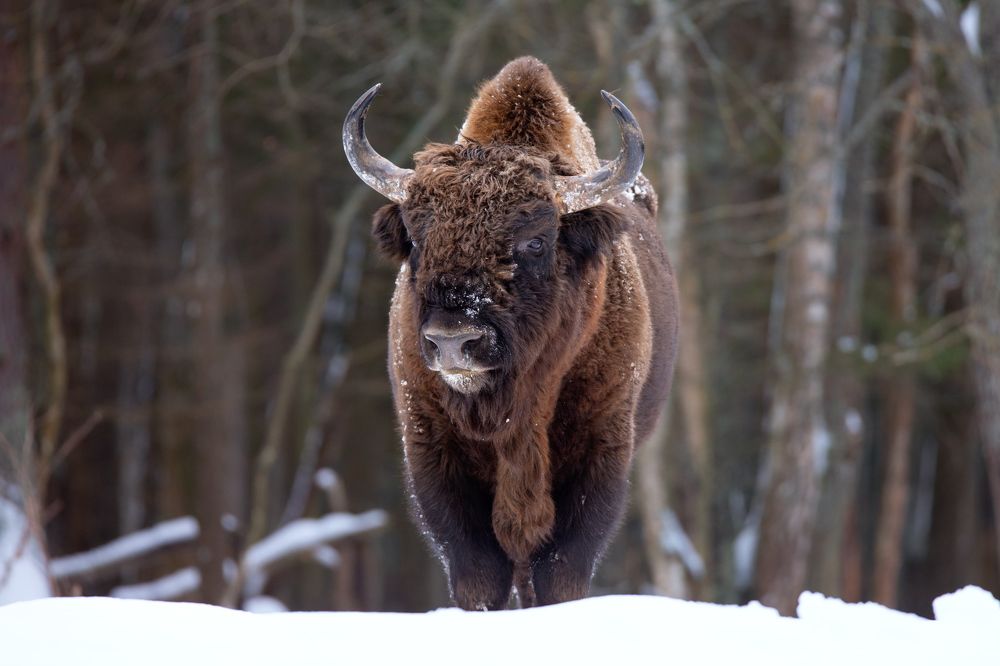 Photograph by Evgeny S