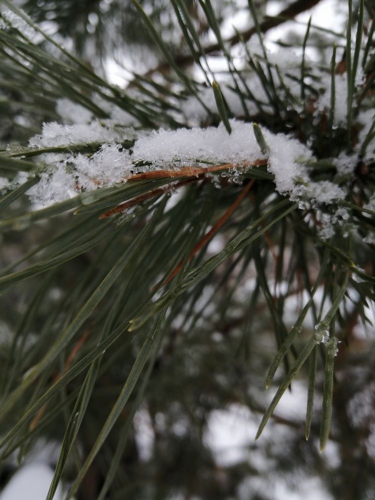 Photograph by Полина Паршина