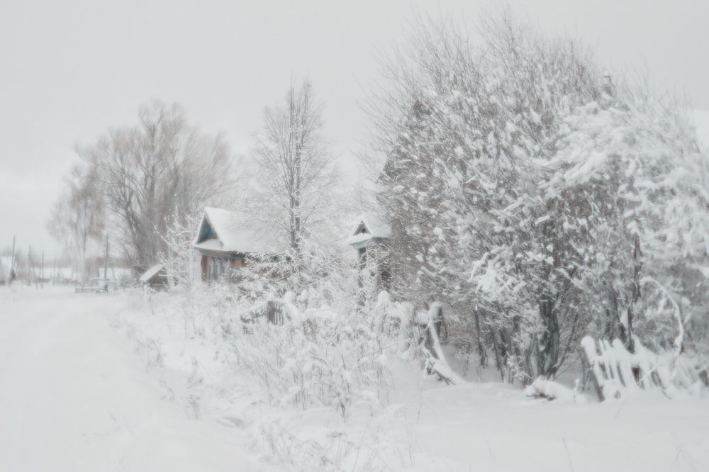 Photograph by Владимир Васенев