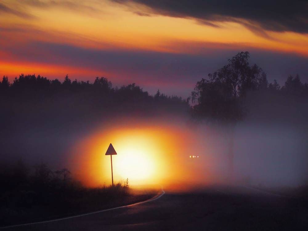 Туманы Ленинградской области