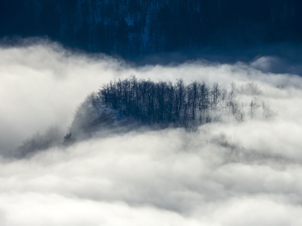 Photograph by Ksenija Planinc Kiridžiev