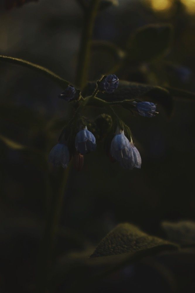 Photograph by Алена Менщикова