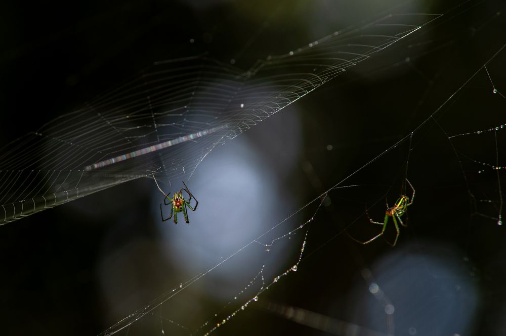 Photograph by Roslan Alias