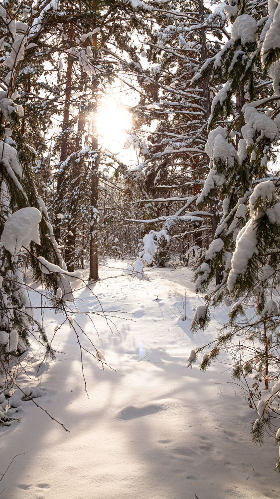 Photograph by Сергей Демидов