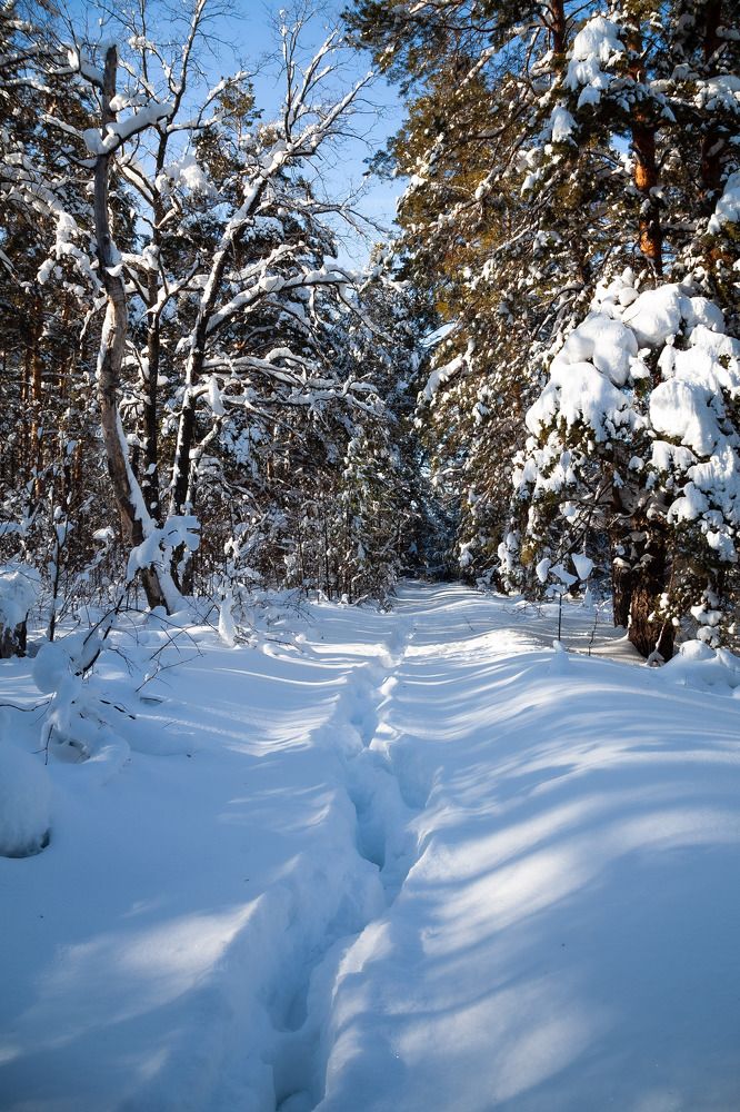 Photograph by Сергей Демидов