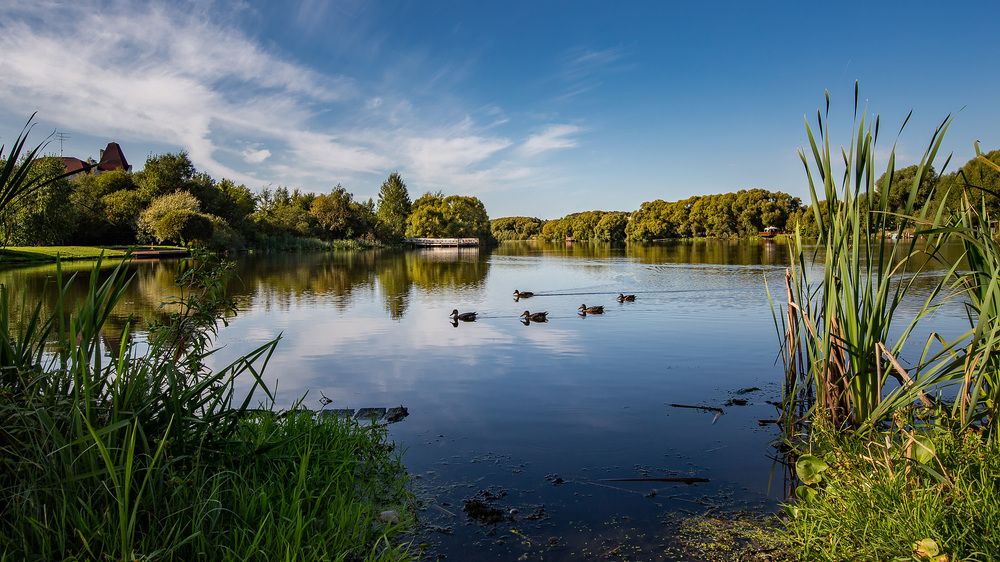 Photograph by Сергей С.