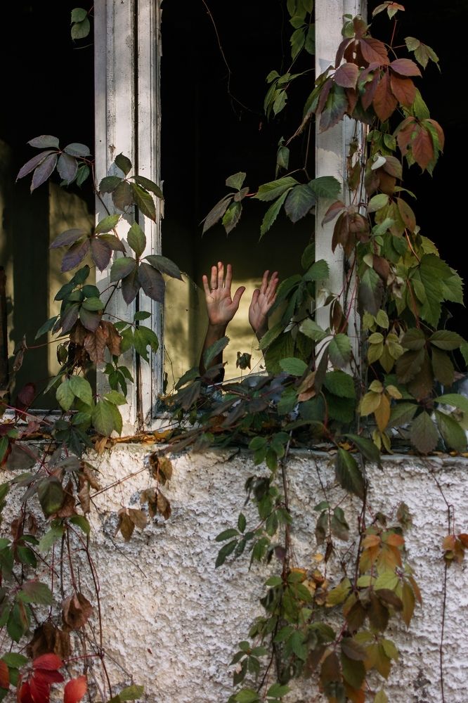 Photograph by Наталия Непомнящая