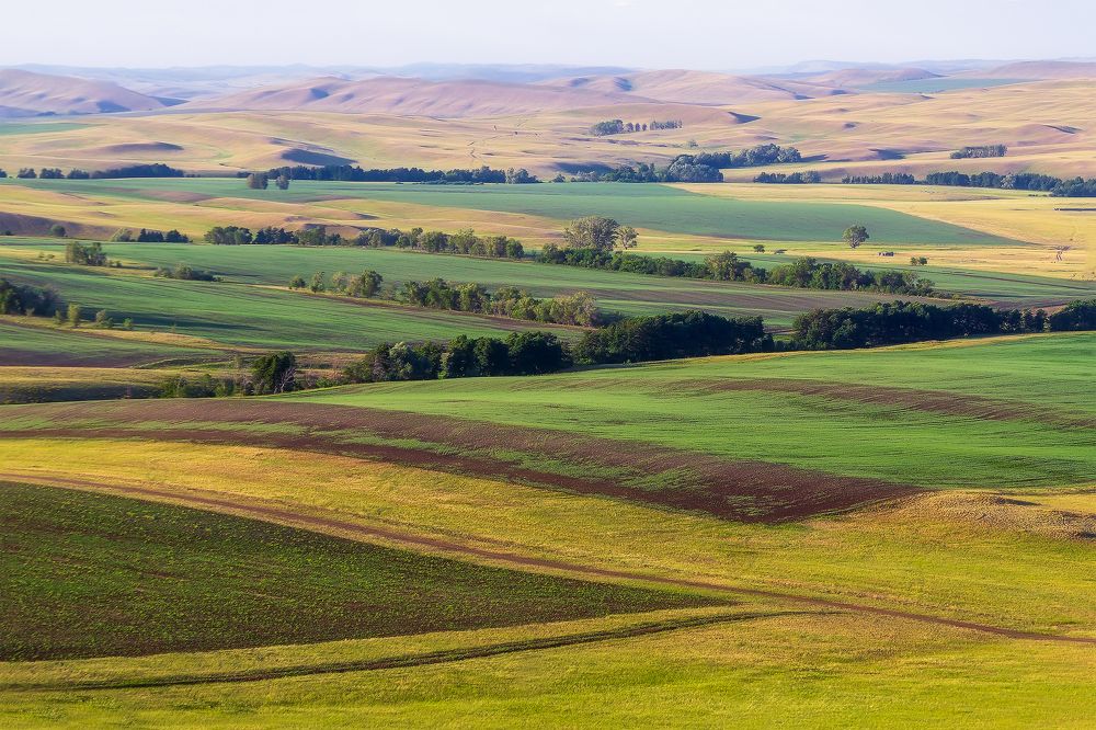 Photograph by Леонид Максименко