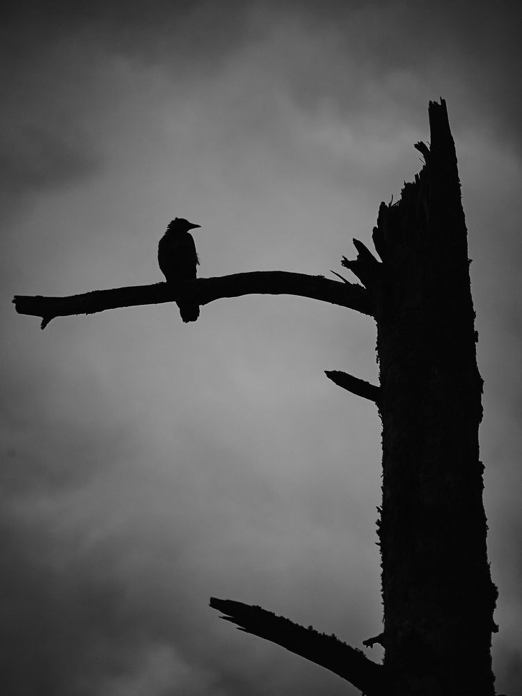 Photograph by Дамир Розыев