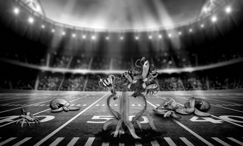 Photograph by Виктор Холодов