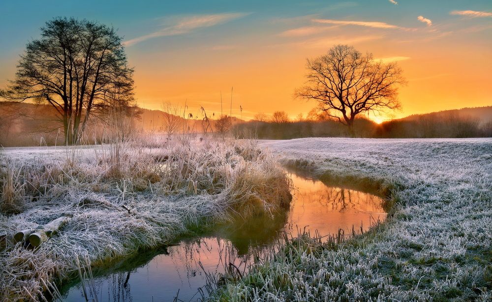 Photograph by Elena Wymann