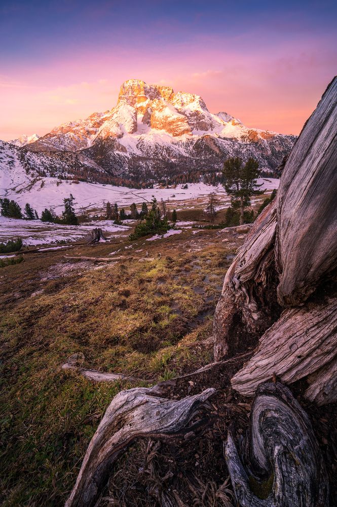 Photograph by Jonathan Sammartano