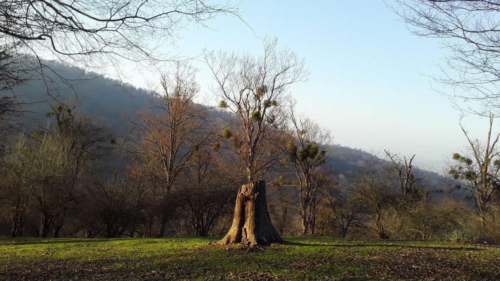 Photograph by Sajad Alizadeh