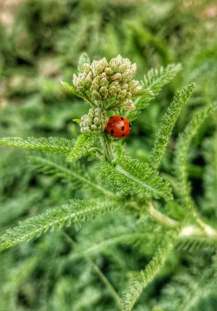 Photograph by Oxana Kostsova