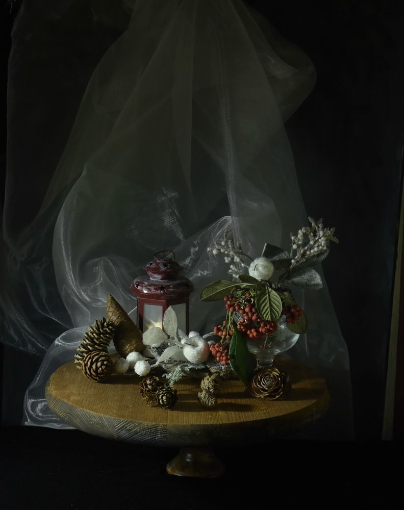 Фотография автора лилия беланова