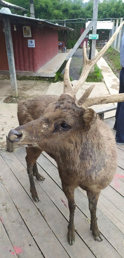 Photograph by Aji Novianto