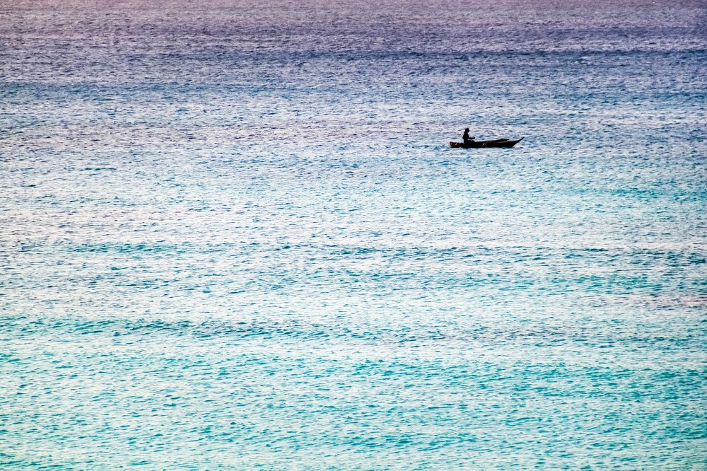 Photograph by Алла Вовк