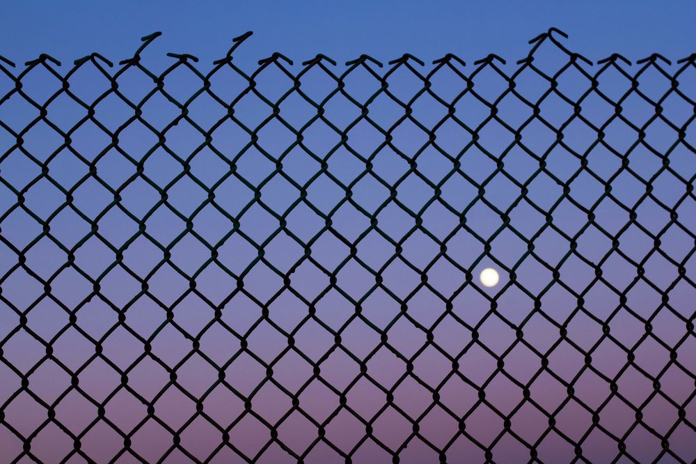 Photograph by Алла Вовк