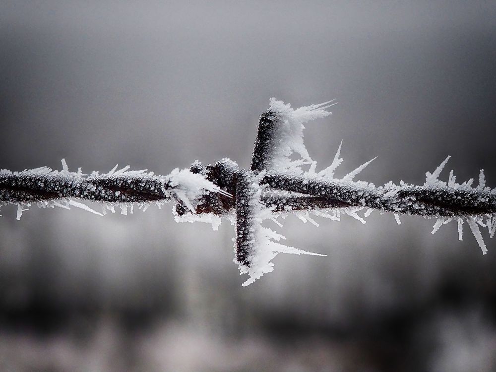 Photograph by Adrian Eperjessy