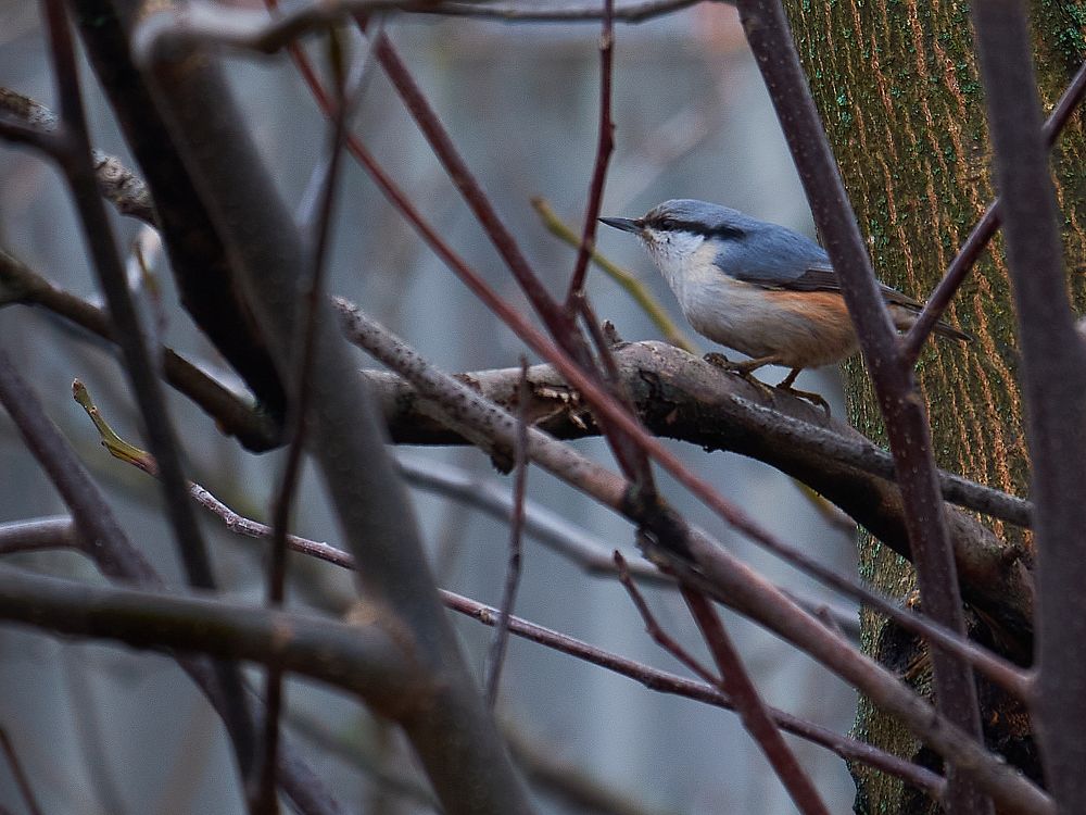 Photograph by Сергей Парантаев