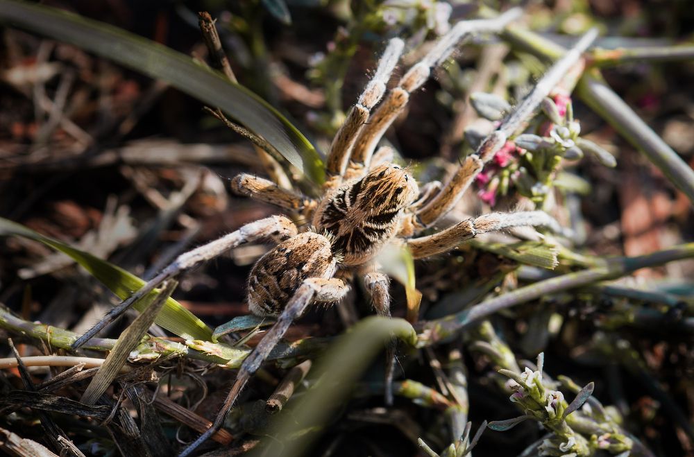 Photograph by Николай Багно