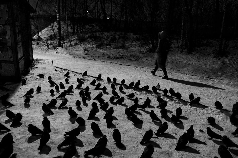 Ожидание тепла