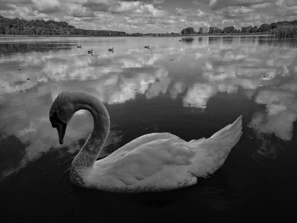 Photograph by Viktoria Vavilkina