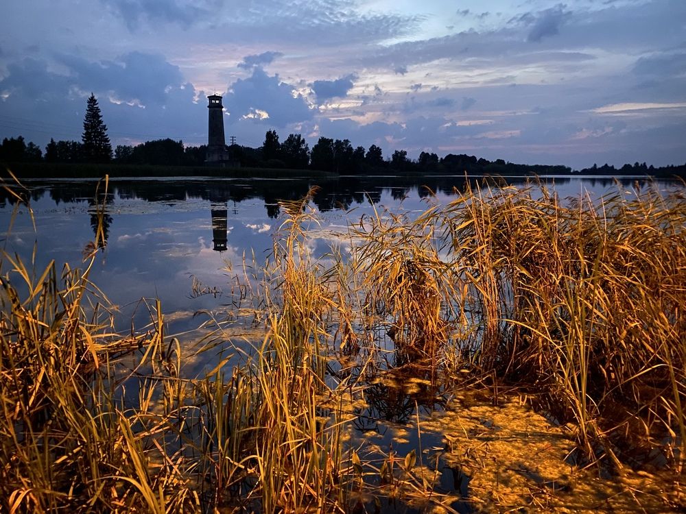 Фотография автора Ольга Горюнова