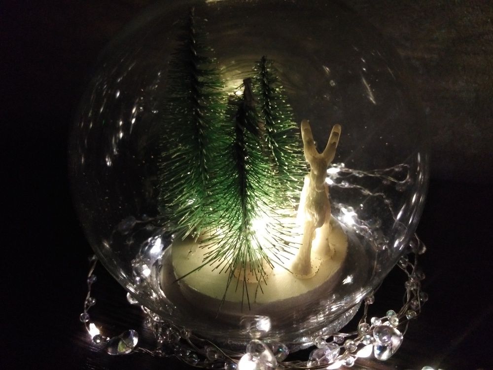 Photo #7272213