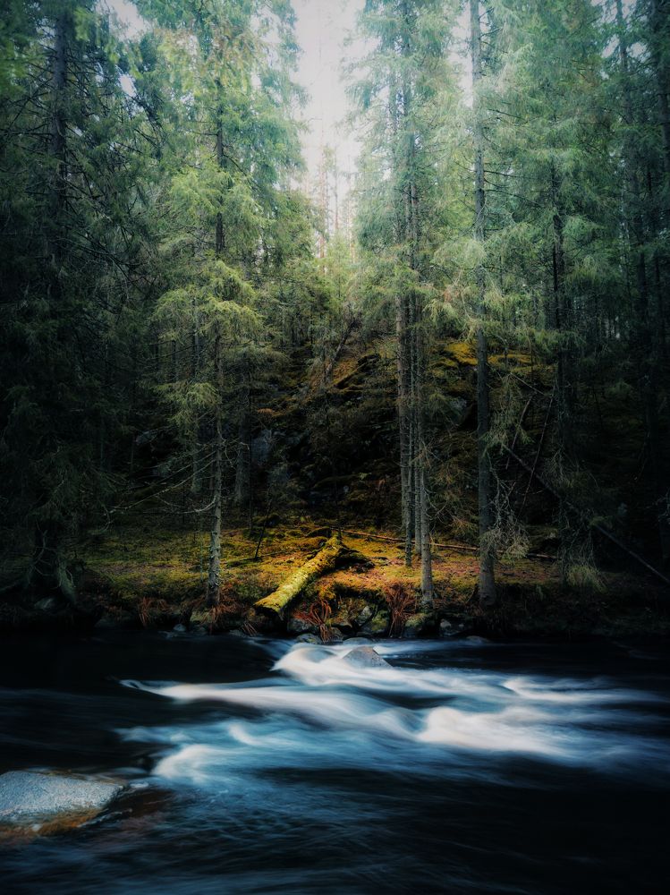 Photograph by Александр Державин