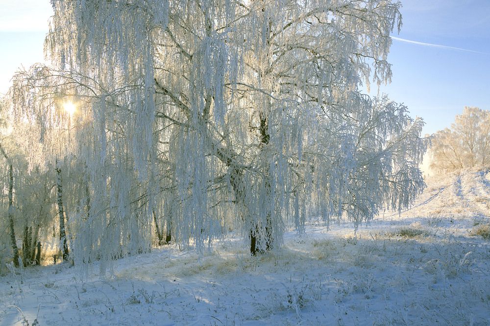 Фотография автора Рамиль Фаттахов