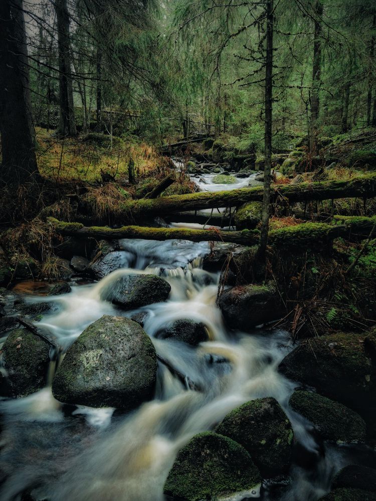 Photograph by Александр Державин