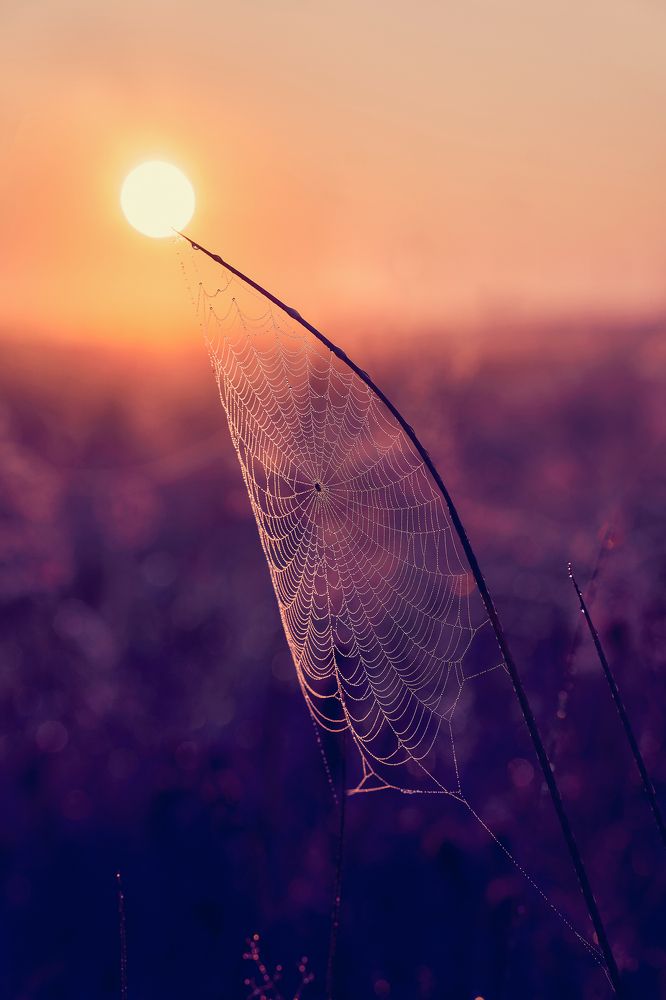 Photograph by Андрей Валерьевич