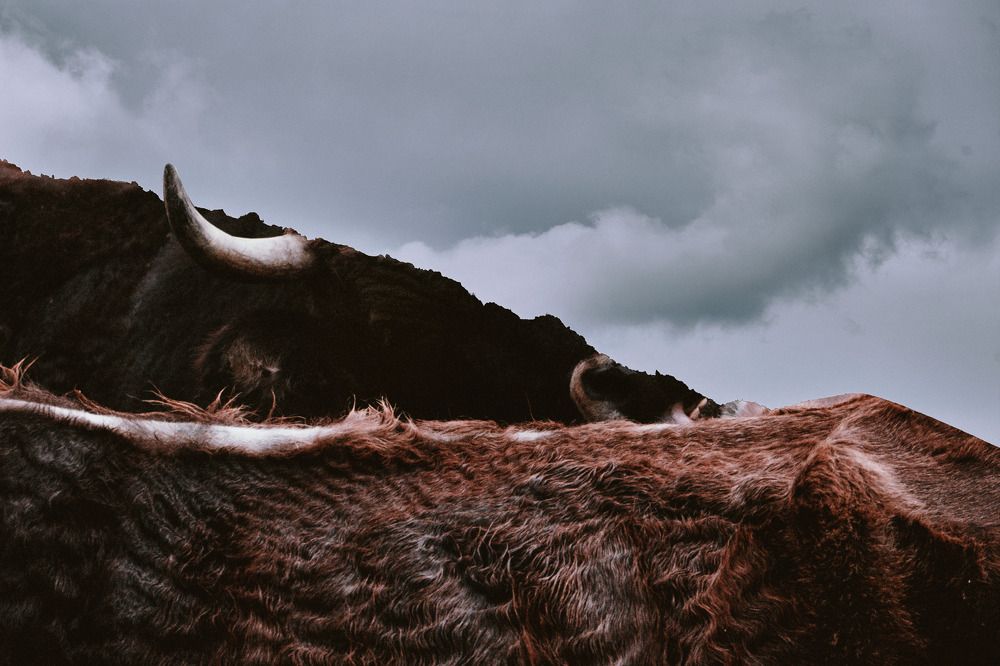 Photograph by Waldemar Heisler