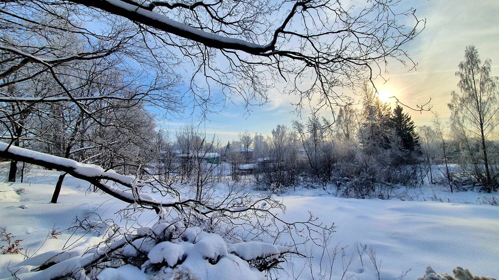 Фотография автора Sergey Skvortsov