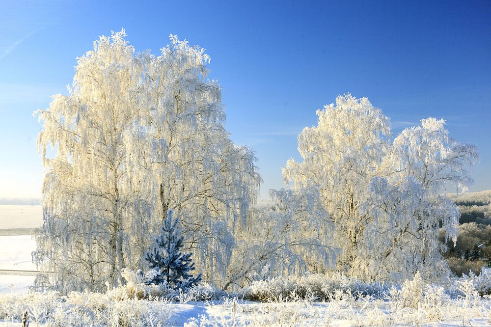 Фотография автора Рамиль Фаттахов