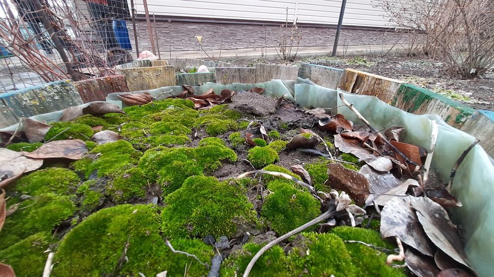 Photograph by ИГОРЬ