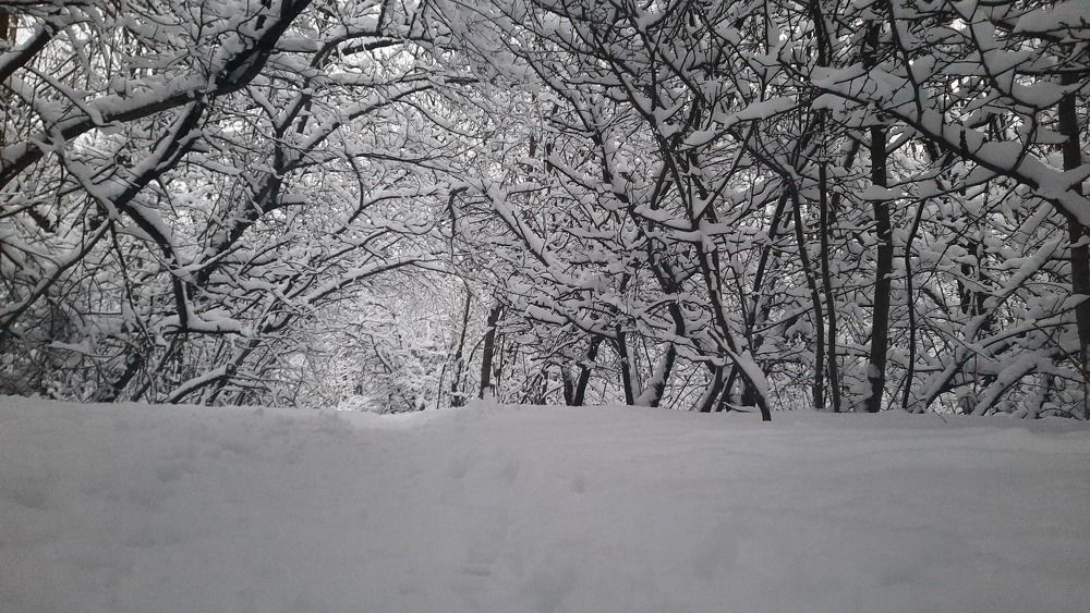 Photograph by ИГОРЬ