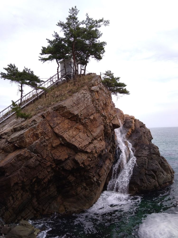 Photo #7272558