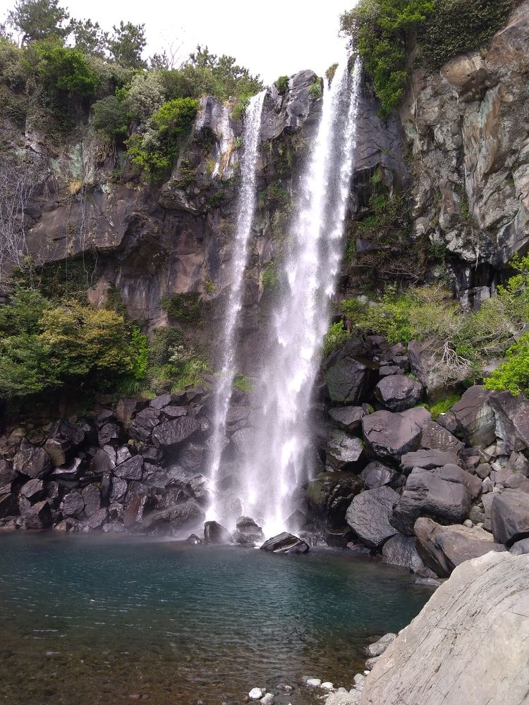 Photo #7272606