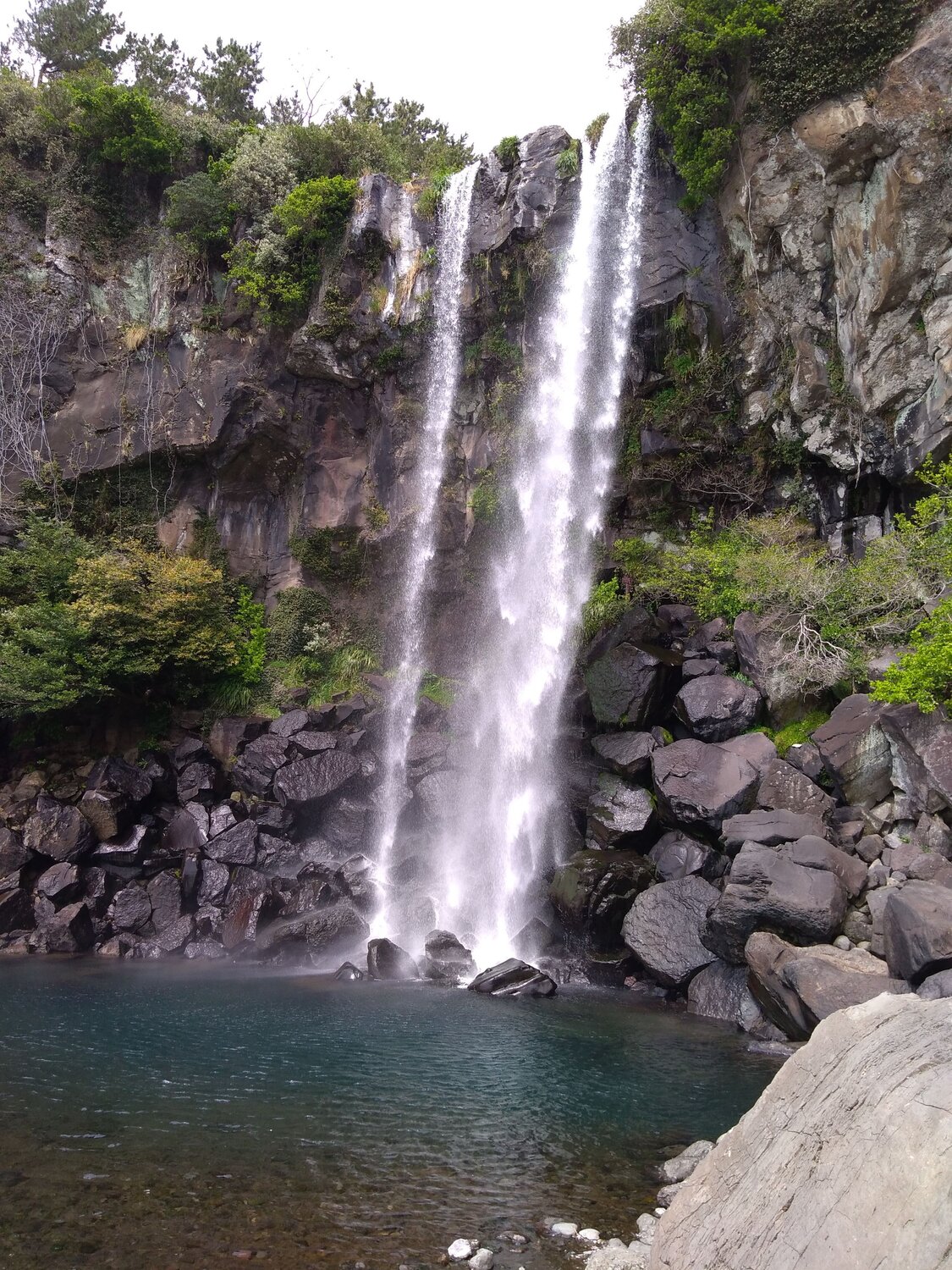Photo #7272606